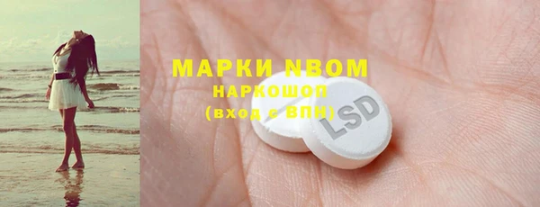 шишки Абаза