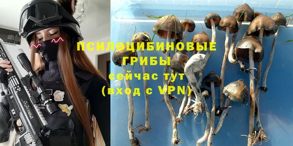каннабис Абинск