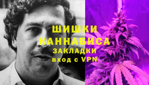 ПСИЛОЦИБИНОВЫЕ ГРИБЫ Приозерск