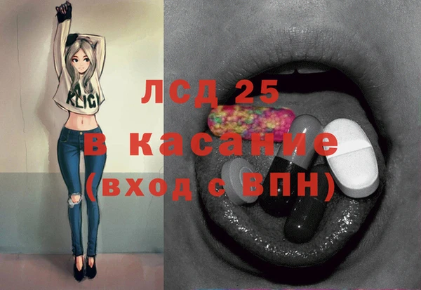 шишки Абаза