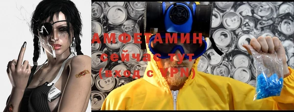 шишки Абаза