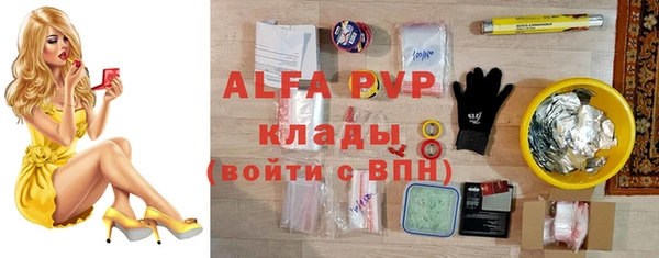 шишки Абаза