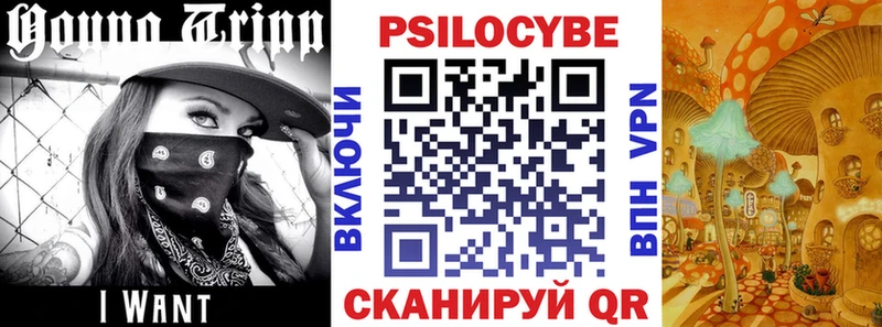 Галлюциногенные грибы Psilocybine cubensis  дарк нет какой сайт  Вичуга 